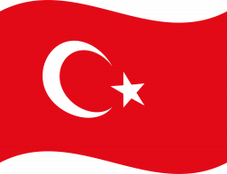 Türkçe